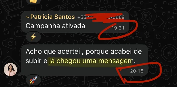 Print de WhatsApp: “Campanha ativada. Acabei de subir e já chegou uma mensagem”